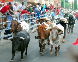 El encierro de ayer en Medina del Campo a su paso por la calle Carreras. / FRAN JIMÉNEZ