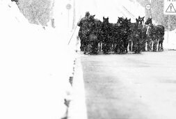 El aviso por nieve y viento se mantiene en cinco comunidades