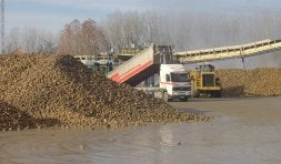 Un camión descarga remolacha en la azucarera de Peñafiel. / EL NORTE