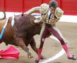 El diestro Francisco Marco es cogido por el primer toro de su lote en el coso santanderino./ E. COBO-EFE