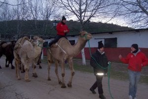 A Santiago, en camello