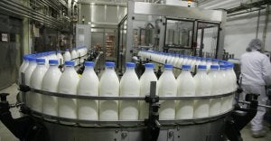 Cadena de envasado de la planta vallisoletana de Lauki, propiedad del Grupo Lactalis. ::                             GABRIEL VILLAMIL