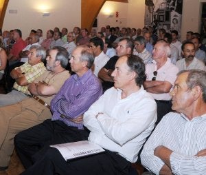 De los piensos a Internet