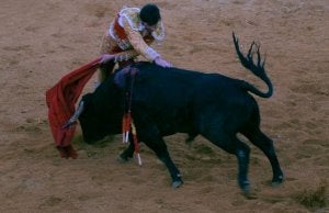 Miguel Hidalgo sale por la puerta grande en Simancas en una corrida en la que se indultó al quinto novillo