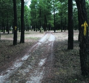 El Camino de Santiago desde Madrid pasa junto a la casa ahora en ruinas.