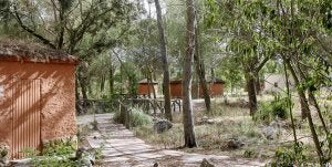 Las cabañas del antiguo zoo darán cobijo a los alumnos de los campamentos lingüísticos estivales. ::                             A. QUINTERO