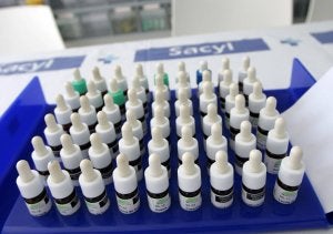 Los derivados del ciprés aumentan el polen y disparan las alergias