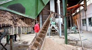 Una central de biomasa de producción eléctrica  en plena actividad. La madera, después de pasar por una tolva, es transportada a una caldera. ::                             BRÍGIDO