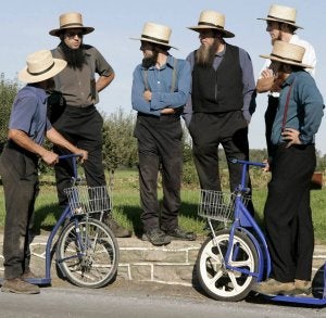 Los amish siguen con su poda