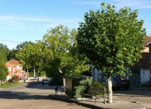 Una de las calles principales de Villota del Páramo. ::
FOTOS DE GONZALO ALCALDE CRESPO