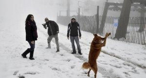 Tres jóvenes juegan con un perro en medio de la nevada caída ayer en el puerto de Navacerrada. ::
EFE