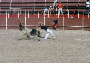Capea celebrada en Campaspero, que este año ha contado con reses de Sayalero y Bandrés. ::
A. O.