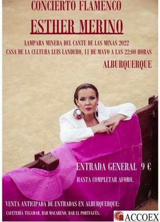Cartel anunciador del concierto