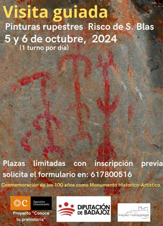 Cartel de la actividad