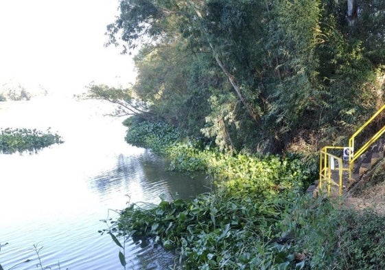 La ciudad espera poder dejar pronto de captar el agua del Guadiana