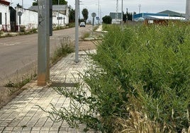 Una de las imagenes que aporta Vox sobre su denuncia