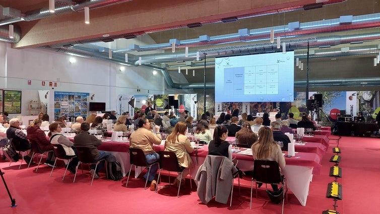 El 'Wine Innovation Summit' de VINAC 2026 abre la selección de proyectos