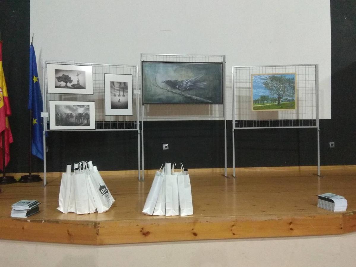 Obras fotográficas y pictóricas premiadas.