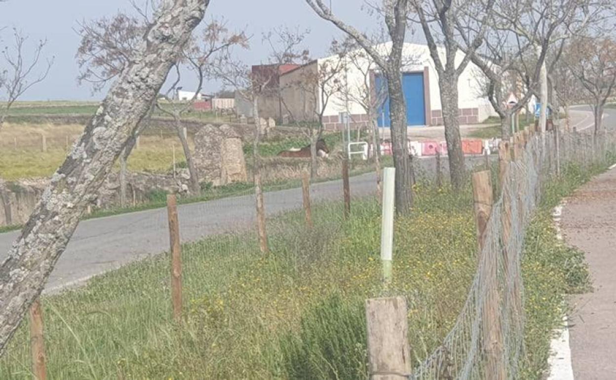 La nave de Pablo Jesús Salado está justo detrás de la línea que delimita el aislamiento de Arroyo de la Luz 