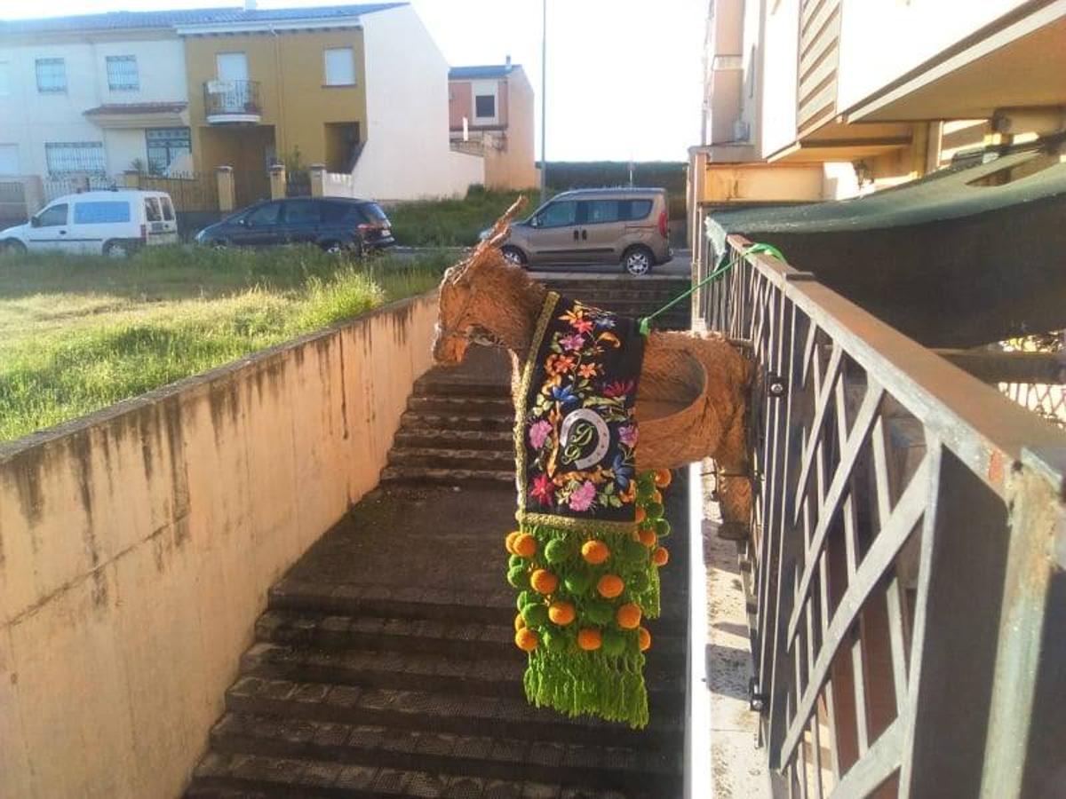 Fotos: Dia de la Luz en casa