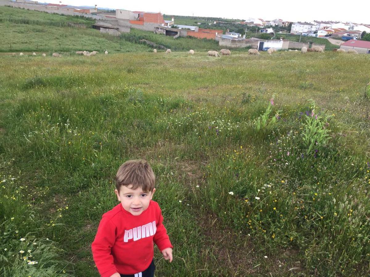 Fotos: Primera salida de los más pequeños