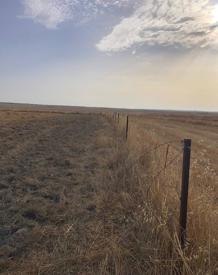 Imagen secundaria 2 - Algunas de las zonas en las que se produjeron los daños. 