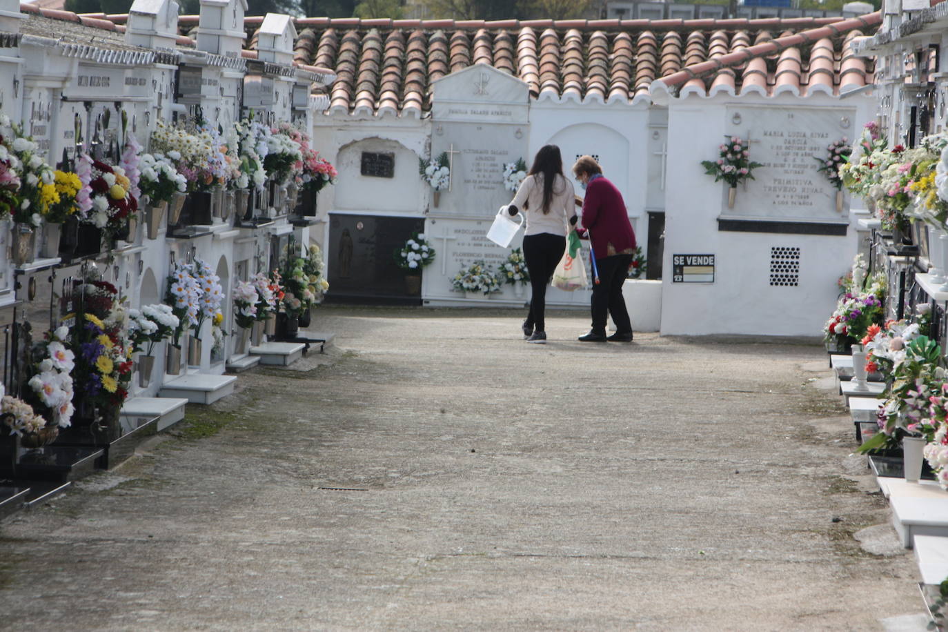 Imagen principal - Pocas personas visitando y arreglando los panteones hoy, 1 de noviembre. 