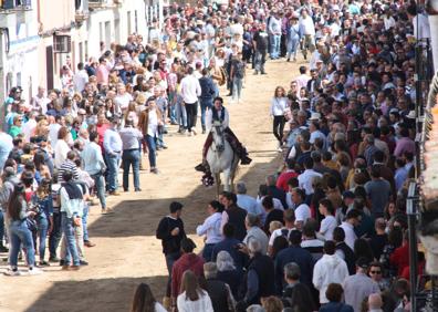Imagen secundaria 1 - Carreras de caballos. 