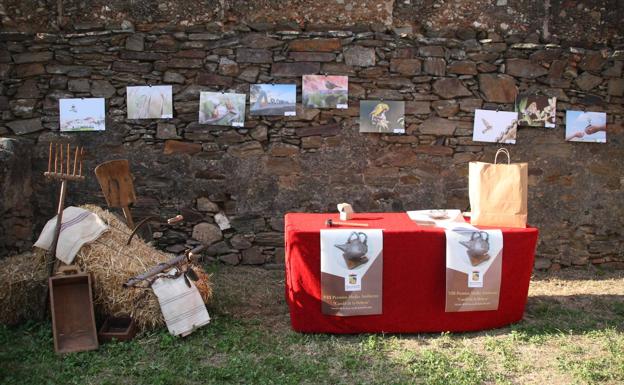 Exposición durante la gala. 