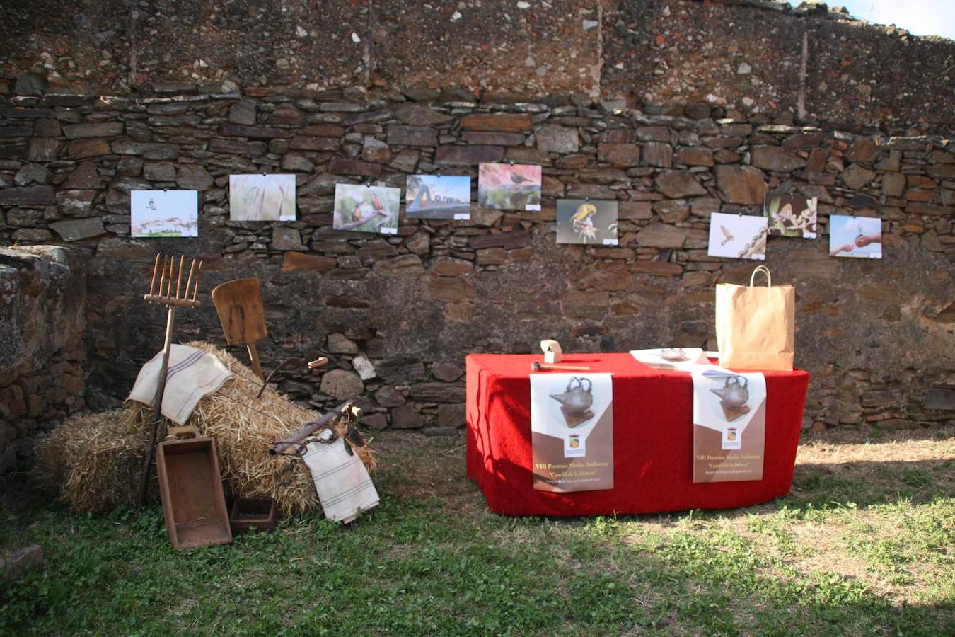 Se expusieron también las fotografías ganadoras en los dos certámenes anteriores; 2018 y 2019