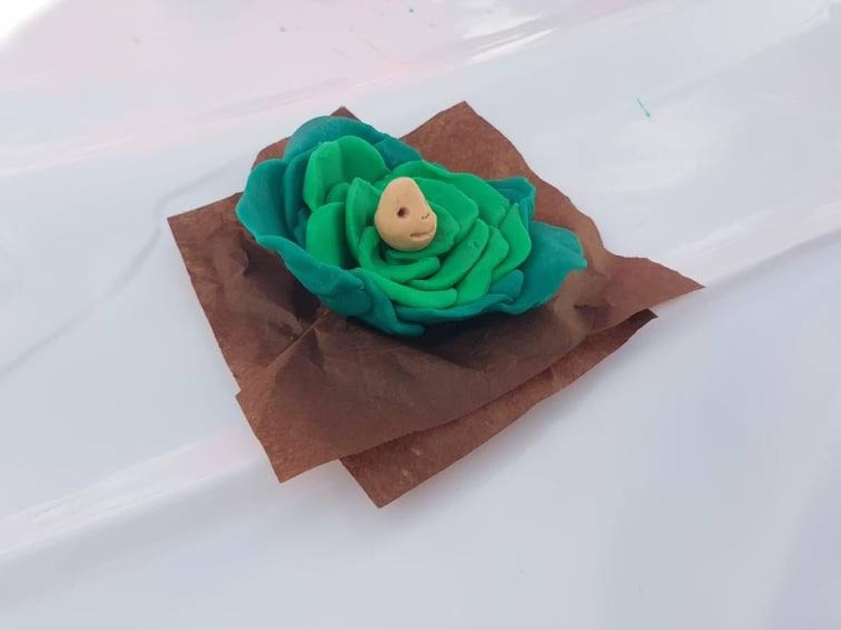 Garbancito en la col.