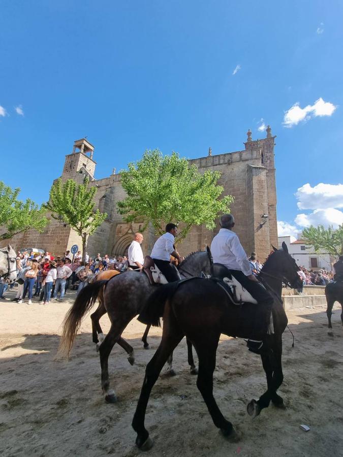 Fotos: Día de la Luz 2022