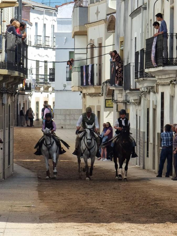 Fotos: Día de la Luz 2022