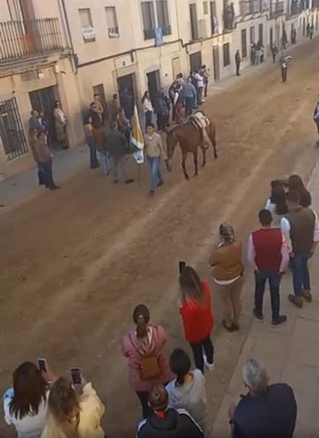 Fotos: Día de la Luz 2022