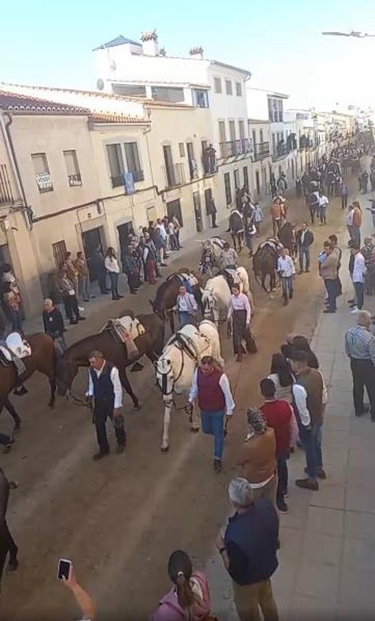 Fotos: Día de la Luz 2022