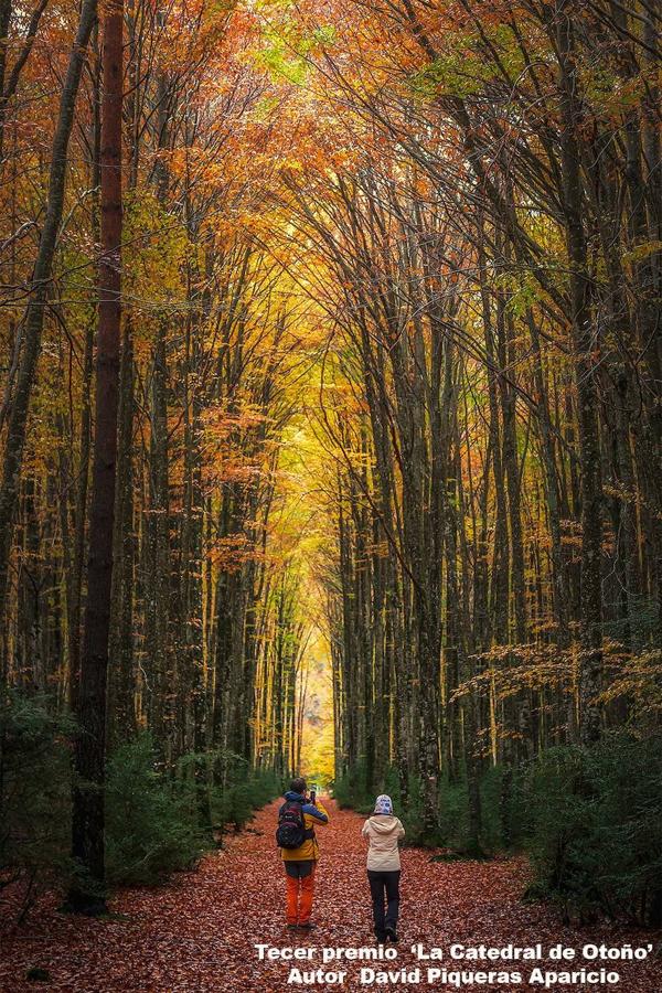 Foto de familia premiados y autoridades. 