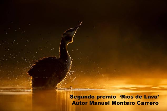 Foto de familia premiados y autoridades. 