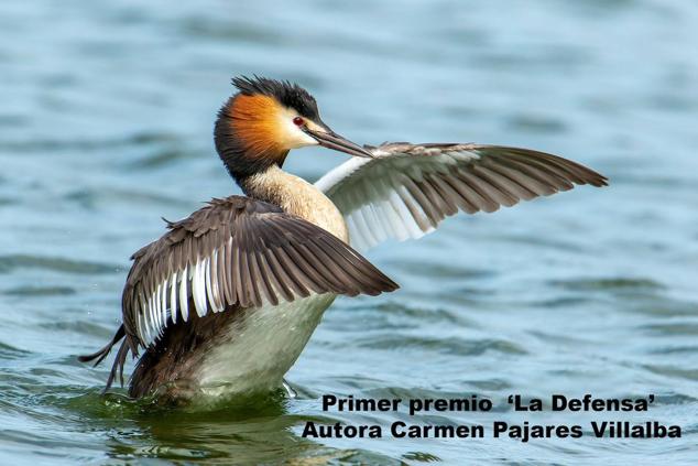 Foto de familia premiados y autoridades. 