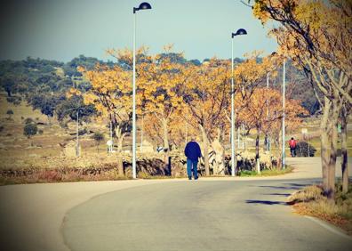 Imagen secundaria 1 - La 'Dehesa de la Luz' es declarada Parque Periurbano de Conservación y Ocio