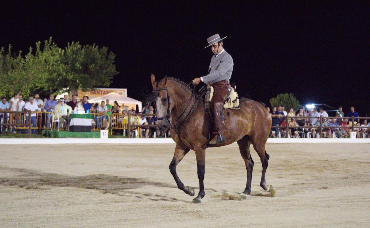 Cita en Arroyo de la Luz para los amantes del caballo