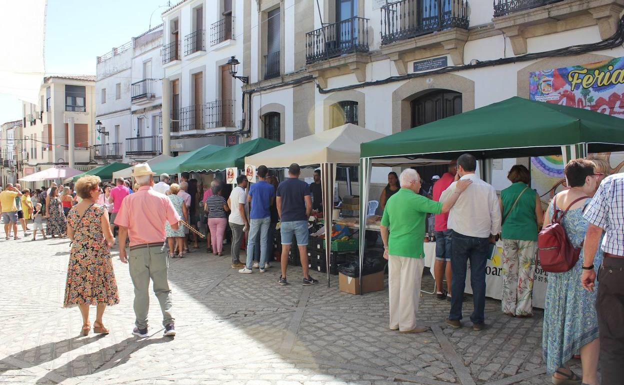 Muchos vecinos y visitantes se acercaron hasta la feria. 