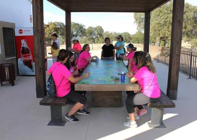 Imagen secundaria 1 - Numerosas personas participaron en la Marcha Rosa de Arroyo de la Luz