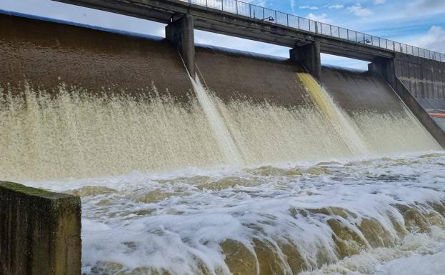 Imagen principal - Charca Grande. 