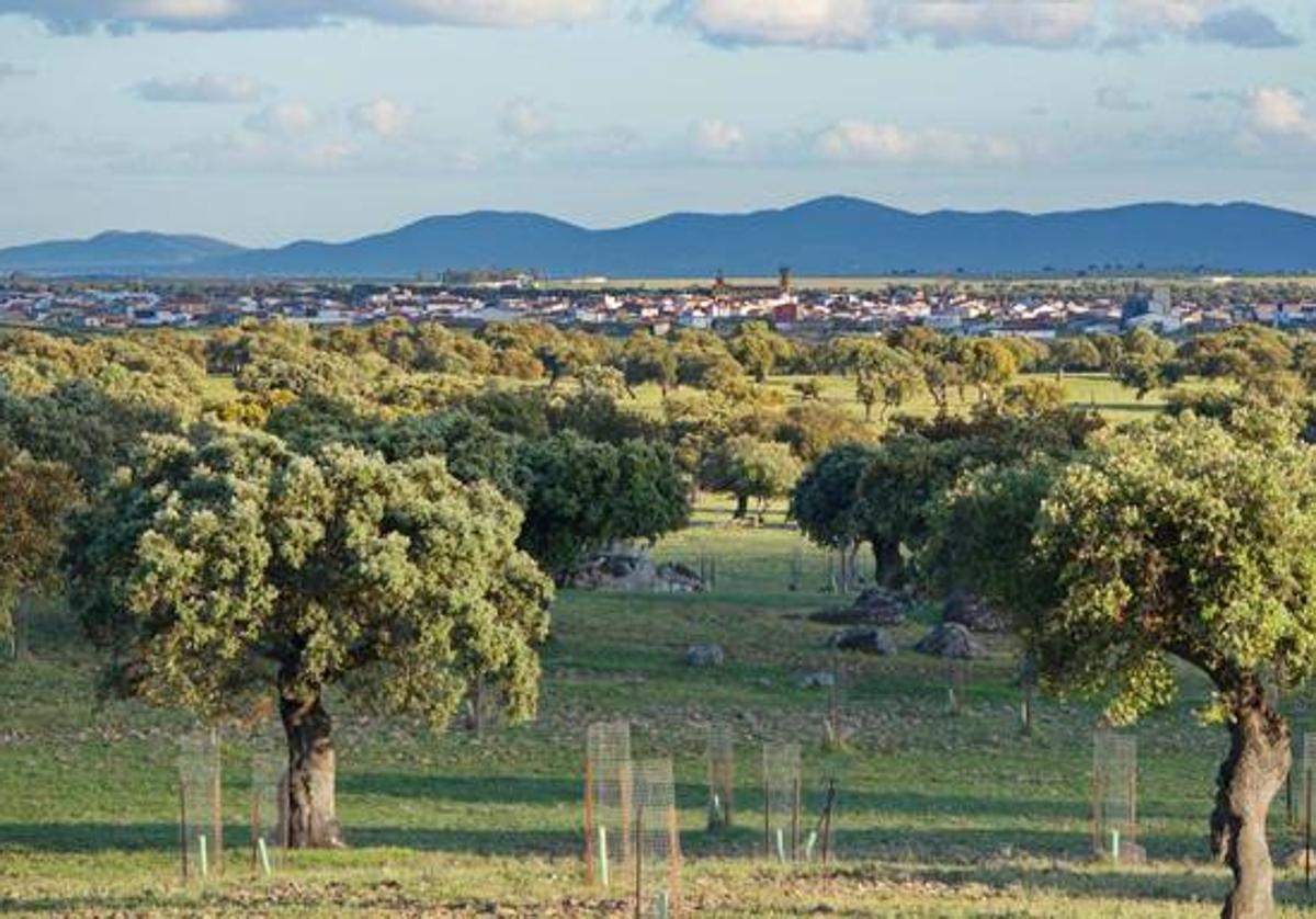 Dehesa de la Luz.