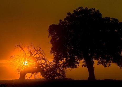 Imagen secundaria 1 - Juan Luis Bermejo gana el Certamen Fotográfico de Medio Ambiente de Arroyo de la Luz