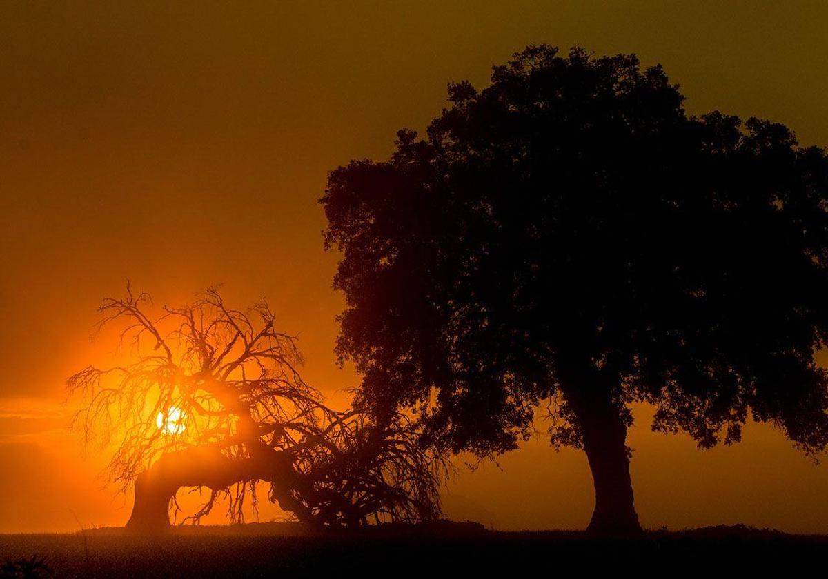 Juan Luis Bermejo gana el Certamen Fotográfico de Medio Ambiente de Arroyo de la Luz