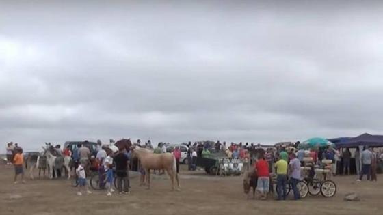 La Charca Grande acoge la VI edición de la Feria de Ganado de Arroyo de la Luz