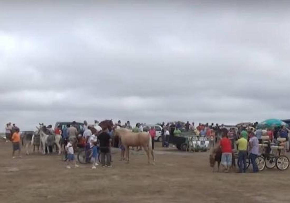 La Charca Grande acoge la VI edición de la Feria de Ganado de Arroyo de la Luz