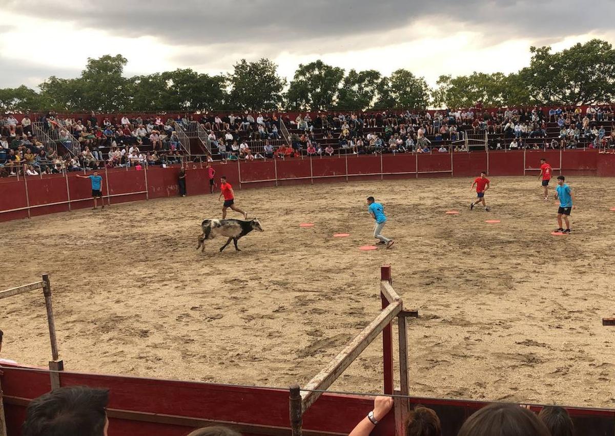 Imagen secundaria 1 - Feria agroalimentaria y Gran Prix.