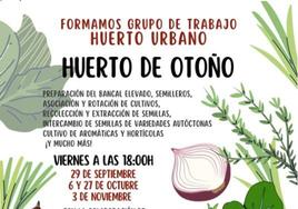 El ECJ comienza con los preparativos para sembrar un huerto urbano